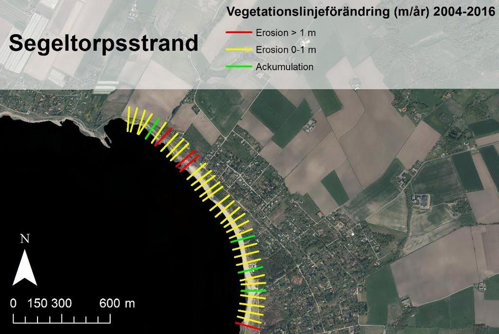 4.2 Segeltorpsstrand Segeltorpsstrand innefattar i denna rapport även Ängelbäcksstrand, vilken motsvarar den norra delen av den sammanhängande stranden.