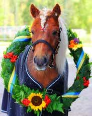 KL.. www.ostersundstravet.