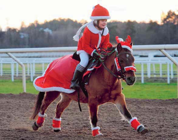 TÄBY GALOPP Nr 0. Söndag december 0 kl. Fri entré hela vintern!
