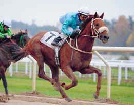 TIPS & RANK V & V TÄBY GALOPP BANKOD AV ULF ZEIDER Lopp - V- Lopp - V- / LD- Lopp - V- / LD- Lopp - V-, V-, Tr Lopp - V- Lopp - V- Lopp - V- Lopp - V-, Trio Jimmy Mack Well Tried Carolingian Copper