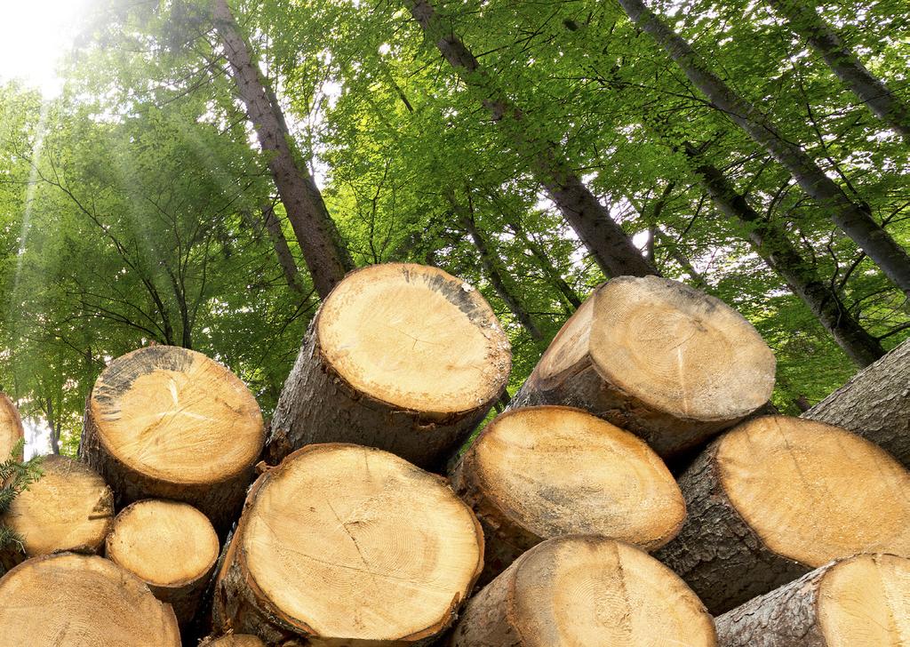 Föreningsstämma Föreningsstämman är en viktig del av medlemsdemokratin. Ledarna inom Skogs- & träindustrins stämma går av stapeln vartannat år i enlighet med stadgarna.