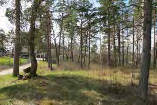 anslutning till området. Svamphagen verkar användas för att åka mountainbike.