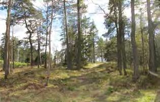 7. PETTERBERGSVÄGEN S KARLSTORP NÄRPARK Naturkvarter Ca 3,7 ha D10/2007