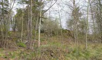 gångar. I naturmarken finns flera spår av tippning av trädgårdsavfall och det finns också en gammal mur kvar.