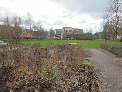 2. DAHLLÖVS PARK Lekpark Ca 1 ha S:I/1937 Allmän plats: park och plantering Gräsytan innanför avenbokshäcken behöver få en tydlig funktion.
