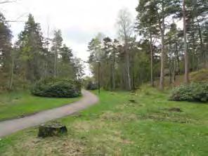 Enda undantaget är för en aktivitetspark i söder samt Rhododendrondalen som går genom området. Parken är väl använd för promenader, rastning av hund samt motion.