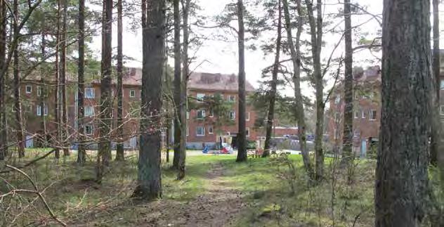 1. BJÖRNBÄRSBACKEN KARLSTORP Bostadsnära natur Ca 0,7 ha S:III/1969 Park eller plantering 66 Björnbärsbacken är ett naturmarksområde i anslutning till en bostadsgård, i form av två lamellhus i