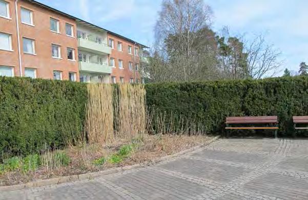 parkkontorets ansvarsområde. Kronogårdsporten består av öppna gräsytor med ett par björkar och ett gullregn.