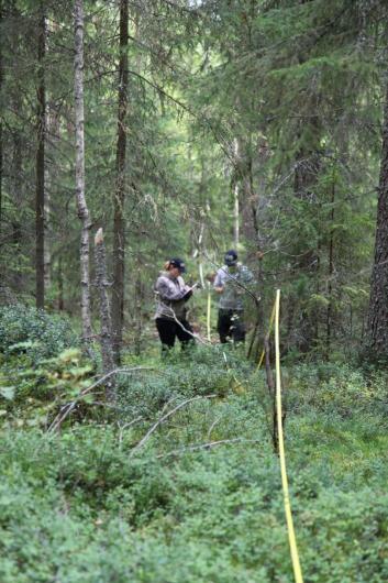 13 Figur 3-3. Undersökningar (Keliber Oy). 3.1.2 Malmförekomster som är med i bedömningen De förekomster som är med i MKB-förfarandet (Länttä, Syväjärvi, Outovesi, Leviäkangas, Rapasaari) ligger inom kommunerna Kaustby och Karleby.