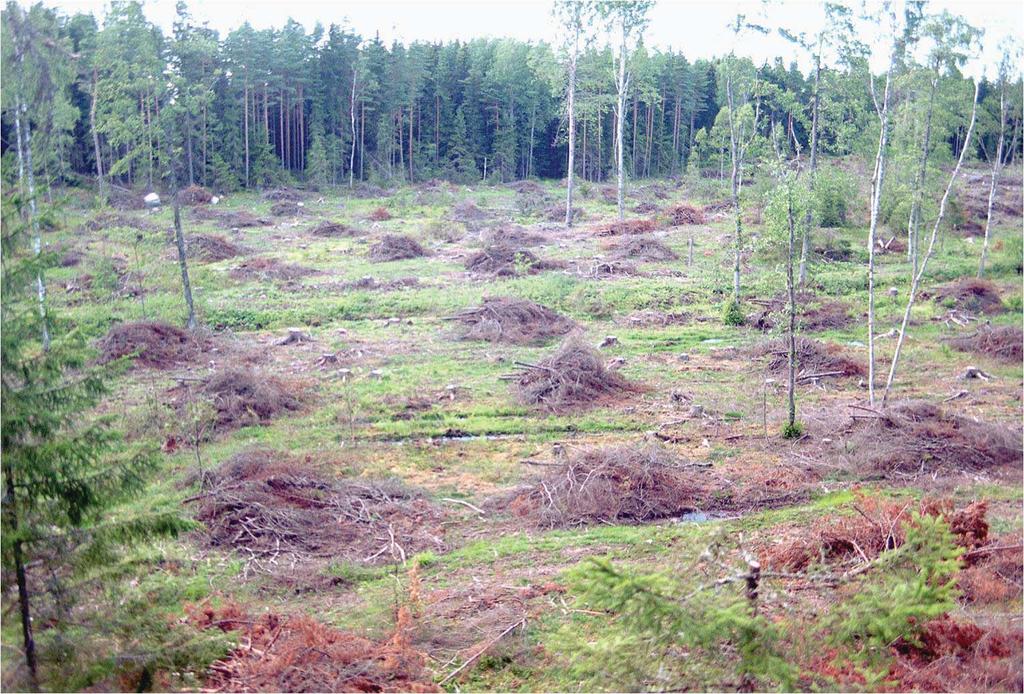 forest fuel adapted final felling and conventional final felling methods Trädresternas
