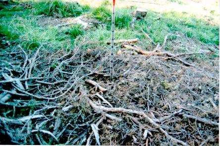 Table 3. Quantity of logging residues in energy wood piles.
