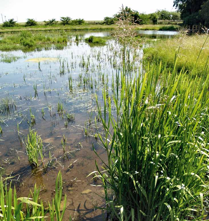 Från idé till våtmark i Skåne - broschyren för