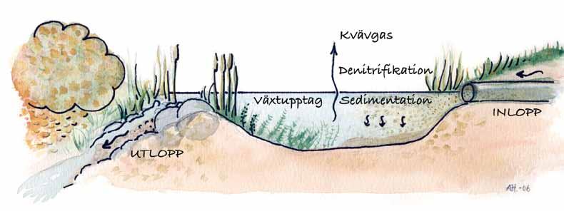 Illustration: Anna Hagerberg.