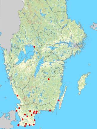 På detta uppslag: Fyndlokaler för tio arter fladdermöss med lokal utbredning i Sverige. Blå prickar indikerar vinterfynd. [Observation sites of ten bat species with restricted distribution in Sweden.