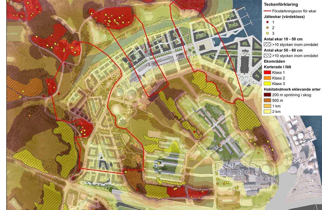 Grönytefaktor för DPL Kolkajen bostäder Ekarnas värde Ekarna i Nationalstadsparken hyser en lång rad rödlistade och sällsynta insektsarter.