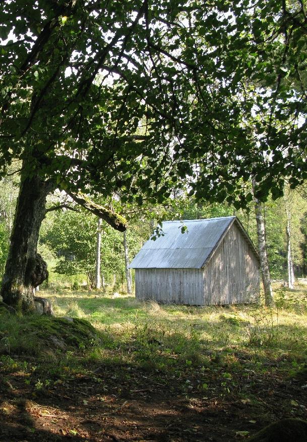 Kulturmiljöprogram
