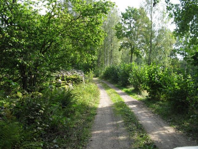 Gamla landsvägen vid