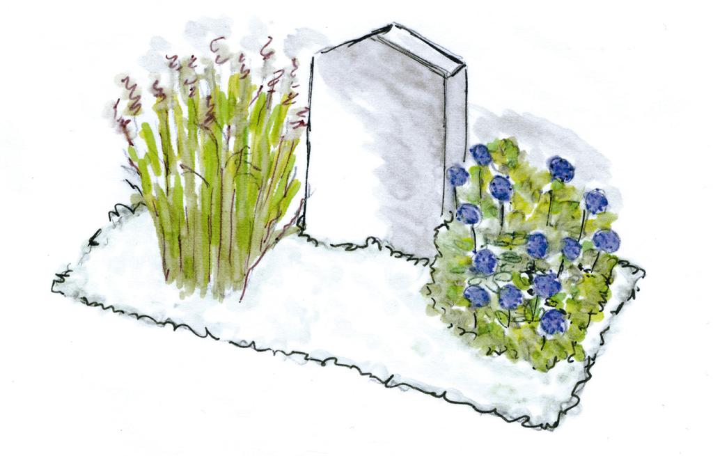 Inspiration tema Strand: Perenner Echinops ritro (blå bolltistel), Miscanthus sinensis Kleine Fontäne (elefanträs) Personlit prälad estaltnin en tydli trend Den personlia estaltninen av ravplatsen