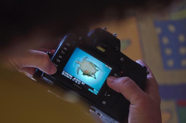 Vi kommer också a@ spana e\er kaskelo@er och andra bardvalar som vi fotograferar från zodiaken (men inte i va@net).