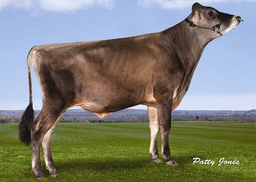 Balin AHLEM BALIN 0200JE01014 FRONTRUNNER x ACTION x IATOLA GLPI +1568 PRO$ 1124 JH1F Reg.