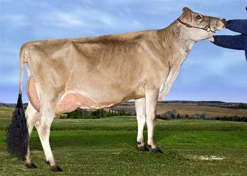 18*DEC -206-4 Döttrars medeltal (ME) +0.10 5 Mjölk 8,035 kg Fett 407 kg Protein 311 kg +0.
