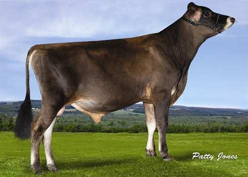 Jx Glisten{4} JX BUTTERCREST GLISTEN {4} 0200JE00536 IRWIN x DALE x ARTIST GMACE LPI +1855 PRO$ 1772 JH1C Reg.