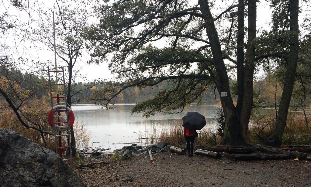 MILJÖFÖRVALTNINGEN, STOCKHOLM STAD Underlag till Åtgärdsprogram Judarn UPPDRAGSNUMMER 1143788000 DAGVATTEN, SJÖAR & VATTENDRAG UPPDRAGSLEDARE:
