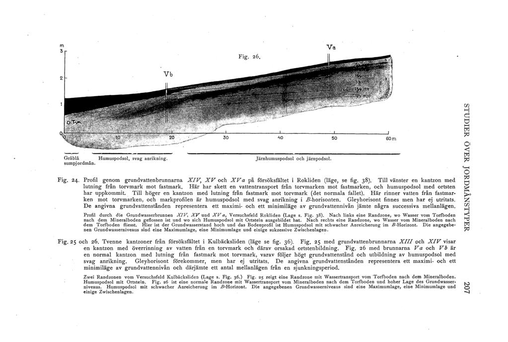 m 3 Va Gråbå Humuspodso, svag anrikning. sumpjordmån. Järnhumuspodso och järnpodso. Fig. 24. Profi genom grundvattenbrunnarna XIV, XV och XV a på försöksfätet i Rokiden (äge, se fig. 38).
