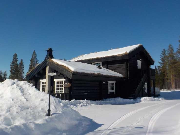 Byggnadsbeskrivning Bostadsbyggnad Byggnadsår/ ombyggnadsår: 2016 / Hustyp/antal våningar: 2-plans hus Taktyp, takbeläggning: Torvtak Grundkonstruktion: Betongplatta på mark med underliggande