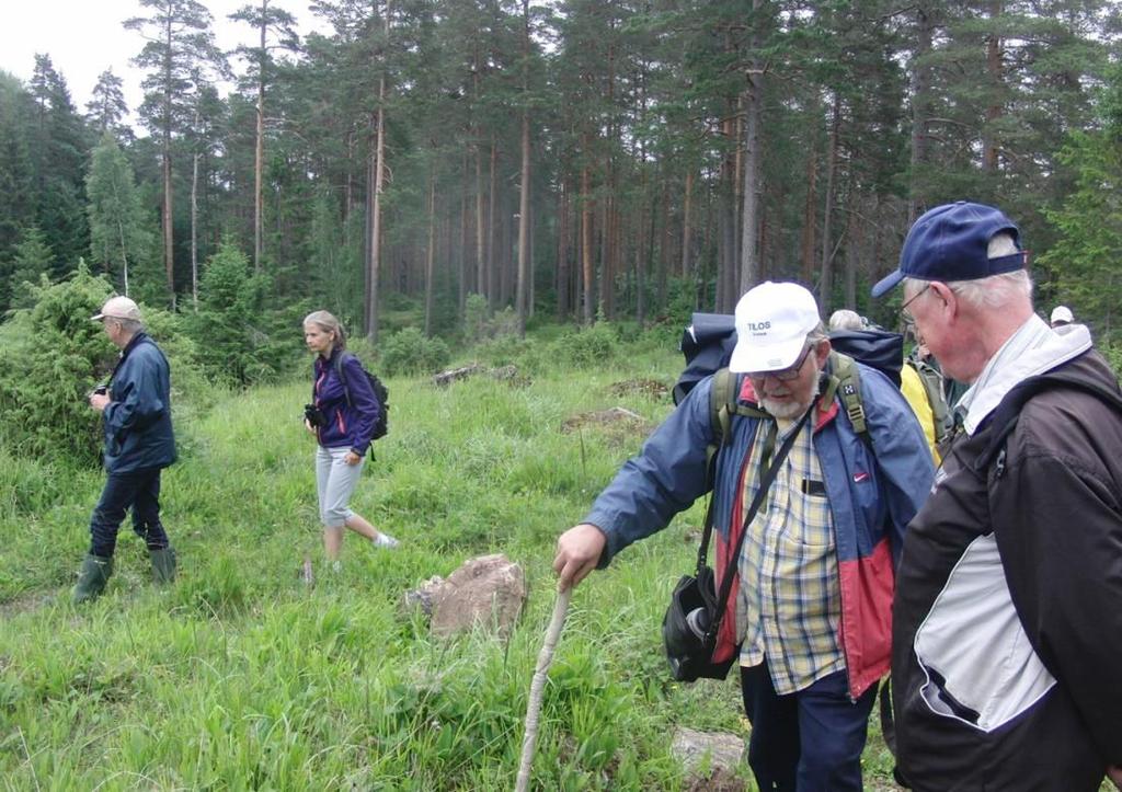 Coenonympha hero (NT). Trots mulet väder och meteorologers varning för regn hade 18 personer anslutit sig till mötesplatsen vid Vikers kyrka.