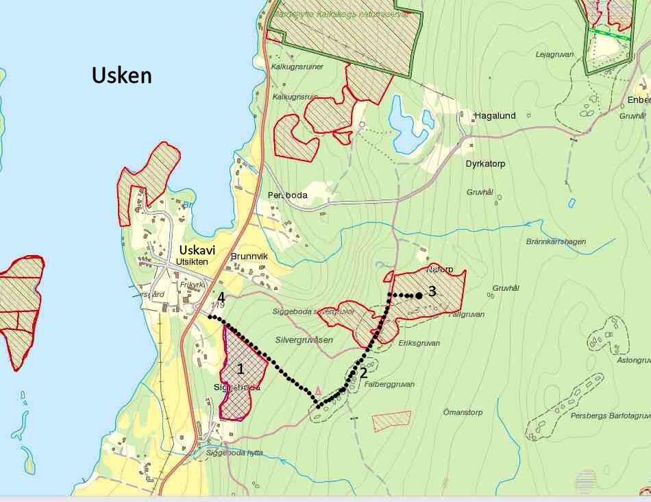 Övriga mera ovanliga arter som vi hittade under exkursionen är: Svart taggsvamp (Phellodon niger) är en iögonfallande taggsvamp, mörk i mitten