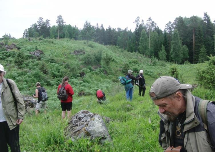 Området innehåller mest granskog, men även tallar i åldern 150-180 år och även några som är ännu äldre. I en bäckravin finns också gamla aspar och björkar.