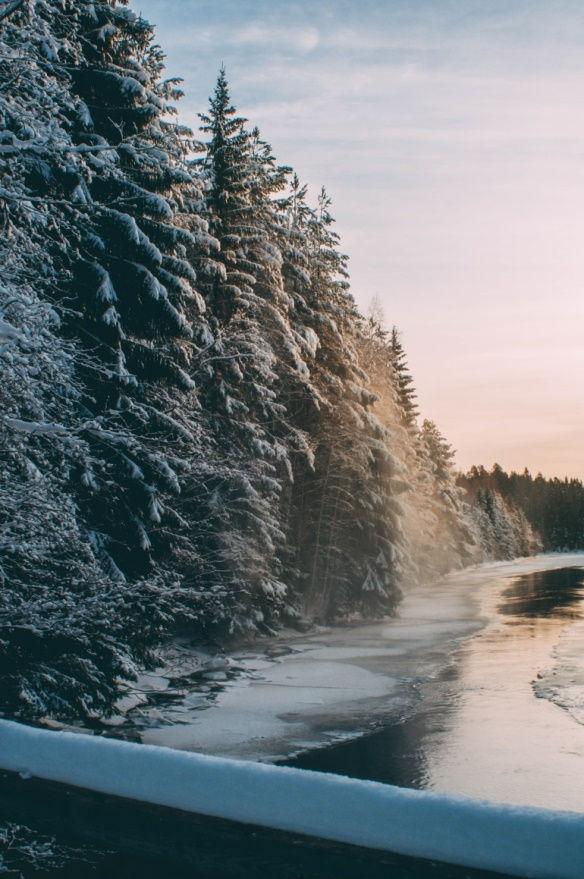 SVÅGADALEN "Älskade Svågadalen, med din milslånga skogsälv, blånande berg och små, utspridda byar. Älskade, vackra Svågadalen med dina höga fjälltoppar och djupa dalar.