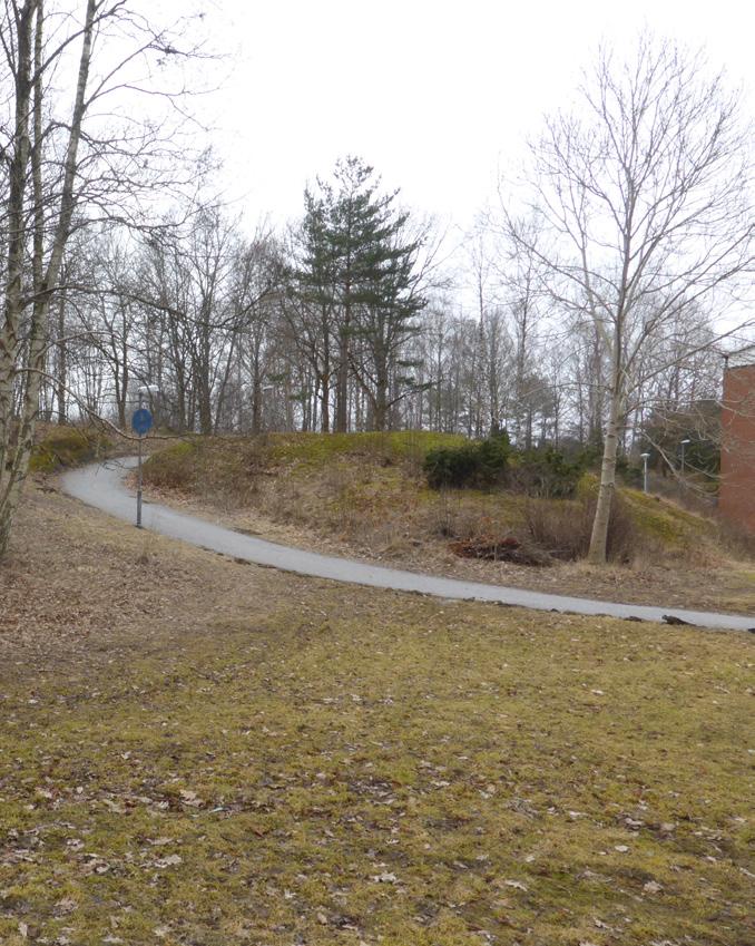 Hälsa och säkerhet Biltrafik Planförslaget medför en gångfartsgata som möjliggör biltrafik genom bostadsområdet, även om avsikten är att det ska vara på de gåendes villkor.