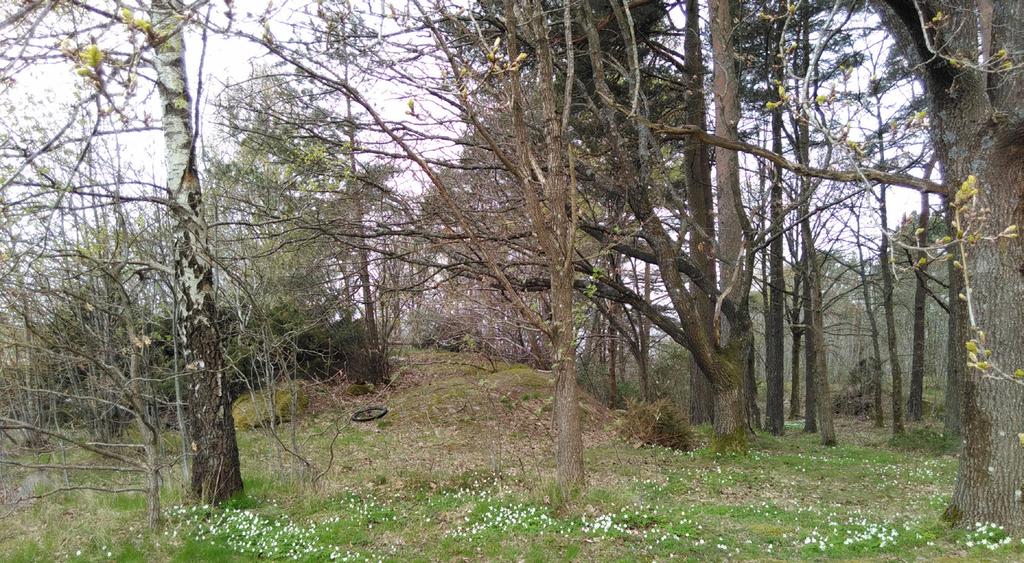 Den bostadsnära naturen i området är en stor kvalitet. Identitet och mångfald Naturen är en viktig del av områdets karaktär och idag förstärker innergårdarna områdets gröna karaktär.