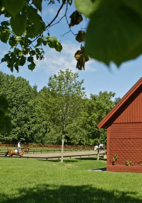 RIDSKOLERYTTARE TÄVLINGSRYTTARE MOTIONÄRER AVSUTTNA Utgå utifrån medlemsprofilernas olika behov för att få en målgruppsanpassad målbild.