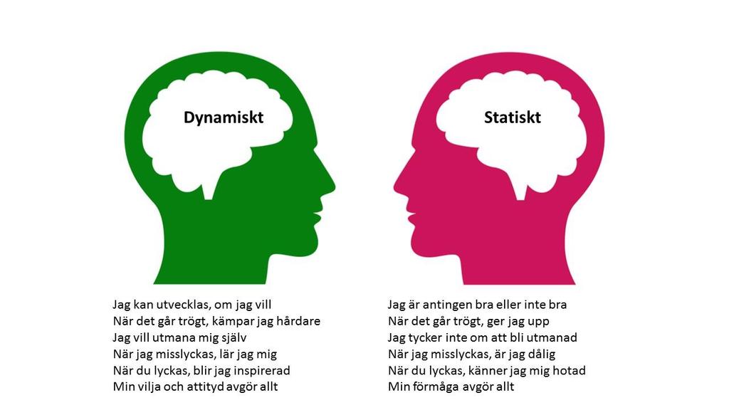 Bild 5: Tankesätt (Mindset) Vi arbetar med att motverka stereotypa könsroller genom medvetenhet om vårt eget vuxna språkbruk och vid uppgiftsfördelning i elevgrupperna.