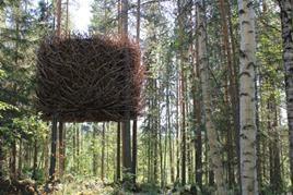 Guidetur Treehotel Hör berättelsen om hur allting startade.