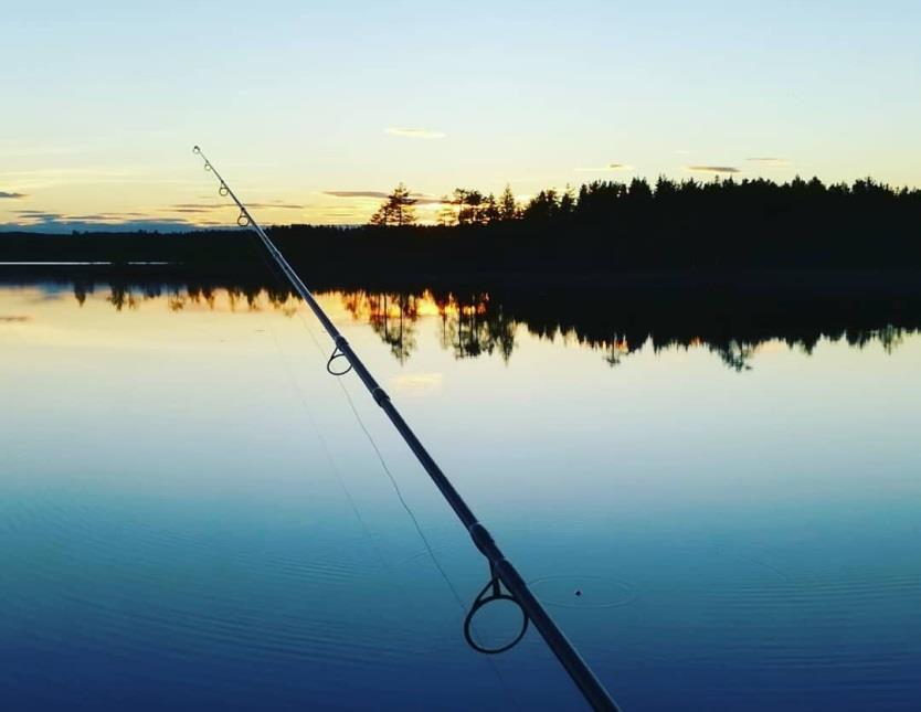 Kultur och fritid Ett rikt utbud av kultur, fritidsaktiviteter och friluftsliv bidrar till ett samhälle där det är gott att leva.
