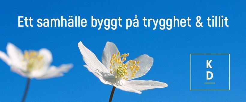 Grundskola Nyfikenhet och sökande efter kunskap är ett grundläggande drag i den mänskliga naturen.