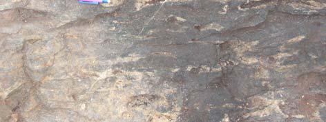 Zoisit förekommer i slip 42a och 53 främst som nålar eller prismor i brungrå omvandlade partier (Fig. 8B, 8E). Biotit och zoisit förekommer i samma slip (53) dock inte i samma partier inom slipet.