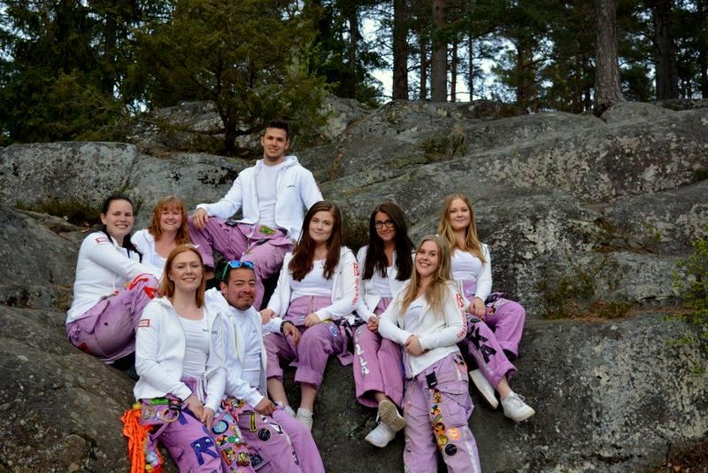 ORGANisationen 17/18 Det är alltså vi här ovan som är era faddrar och anordnar ert Nolle-p! Vi alla läser sjuksköterskeprogrammet i Norrköping, men i olika terminer.
