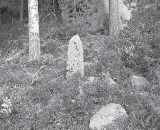 Fig. 12. Rågångssten i fastighetsgräns mellan torpen Stämmen och Dalen, på den tidigare utmarken innanför Södra Slön. Foto: P. Connelid. 18. Rågångssten, knappt en meter hög, i fastighetsgräns. 19.