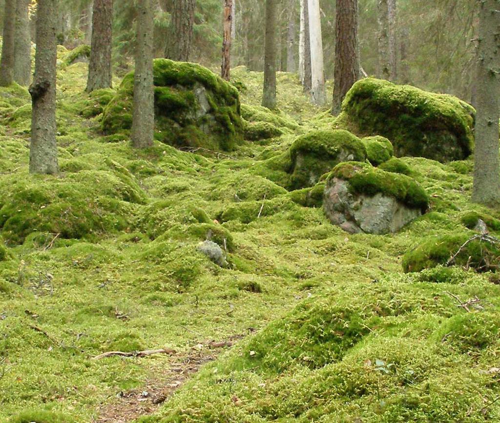 Med tätortsnära natur menar vi natur inom ett område på ungefär en kilometer runt tätorten.