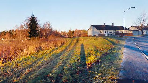 Under fanns en äldre markhorisont följd av orörd lera. Inga anläggningar eller övrigt av antikvariskt värde framkom.