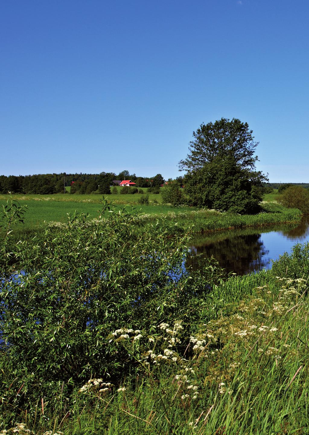Miljörapport.