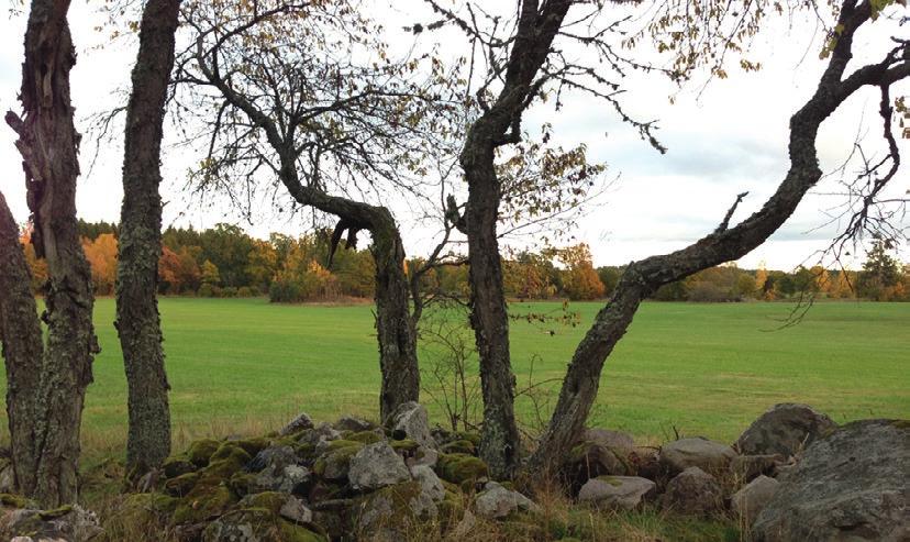 En statare var en anställd lantarbetare som fick en del av lönen i stat, det vill säga förnödenheter av olika slag.