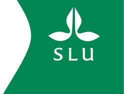 Vad provas och hur? Vad provas inte? Björn Andersson, FältForsk, SLU Värdeprovning av jordbruksväxter Provning för intagning på svensk sortlista, s.k. VCU-provning (Value for Cultivation and Use).