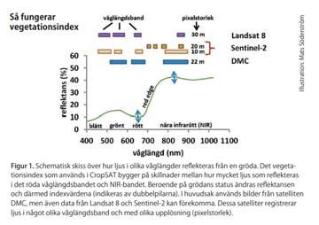 5 kg Mycket data kräver stor datahantering om man använder alla banden Multispektral sensor En kamera (elektro optisk sensor) som registrerar bilder i flera våglängdsområden Flera band (ofta 2 10