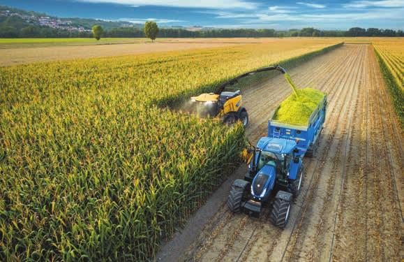 30 PRECISIONSLANTBRUK New Holland PLM -lösningar för att passa dina behov. Alla FR exakthackar kan utrustas med IntelliSteer, New Hollands fullt integrerade autostyrpaket.